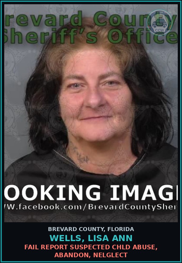 Booking mugshot of WELLS, LISA ANN in Brevard County