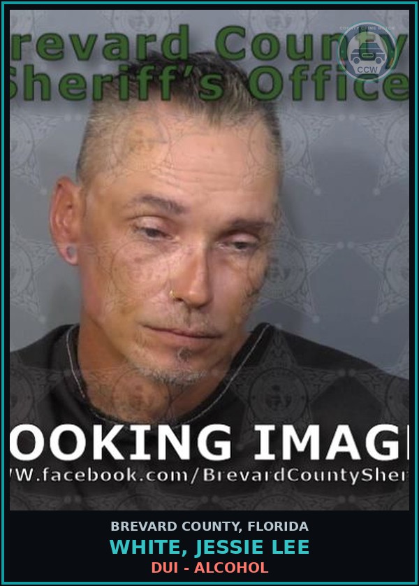 Booking mugshot of White, Jessie Lee in Brevard County