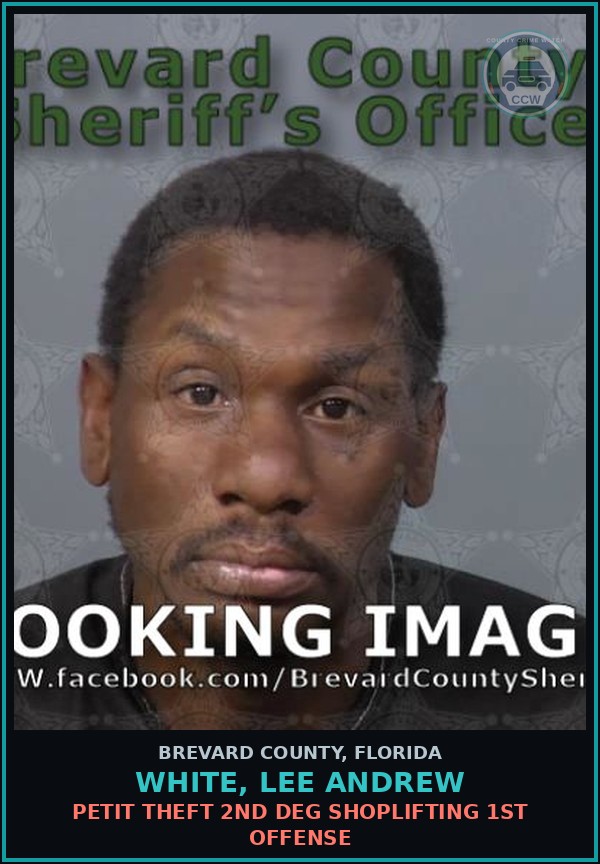 Booking mugshot of WHITE, LEE ANDREW in Brevard County