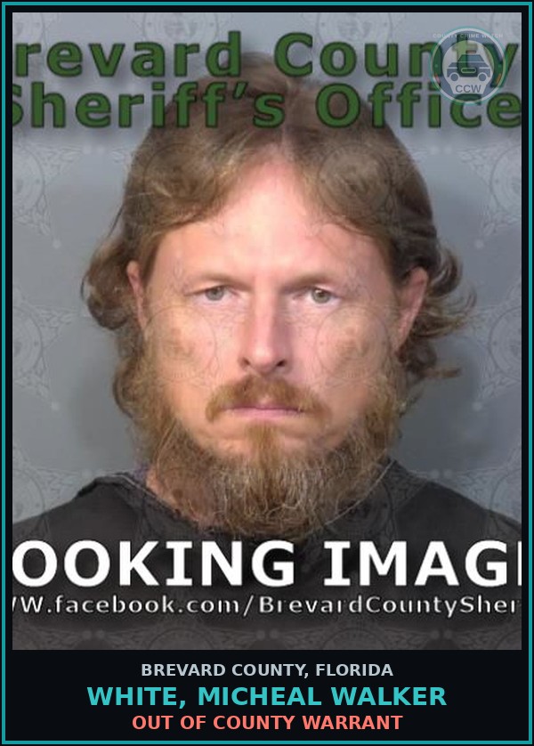 Booking mugshot of WHITE, MICHEAL WALKER in Brevard County
