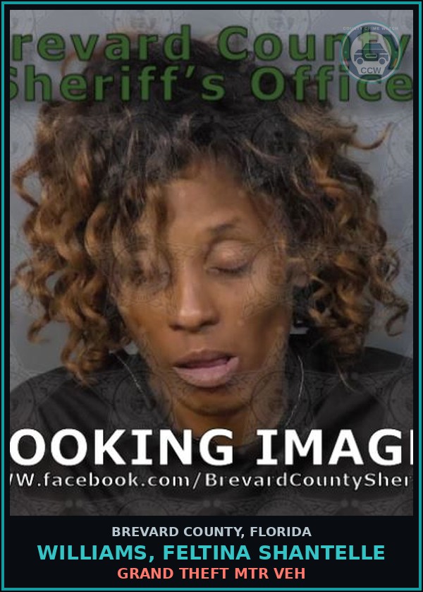 Booking mugshot of WILLIAMS, FELTINA SHANTELLE in Brevard County