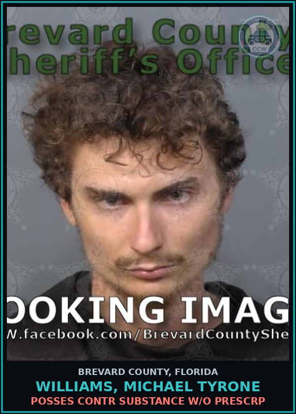 Booking mugshot of Williams, Michael Tyrone in Brevard County