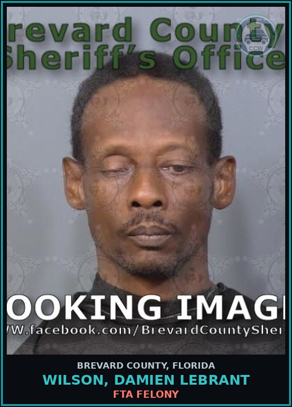 Booking mugshot of Wilson, Damien Lebrant in Brevard County