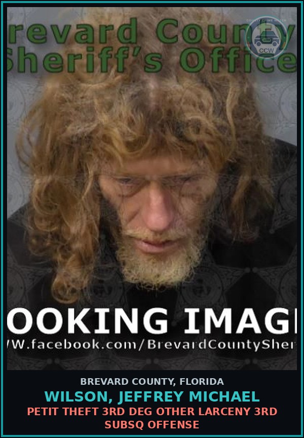 Booking mugshot of WILSON, JEFFREY MICHAEL in Brevard County