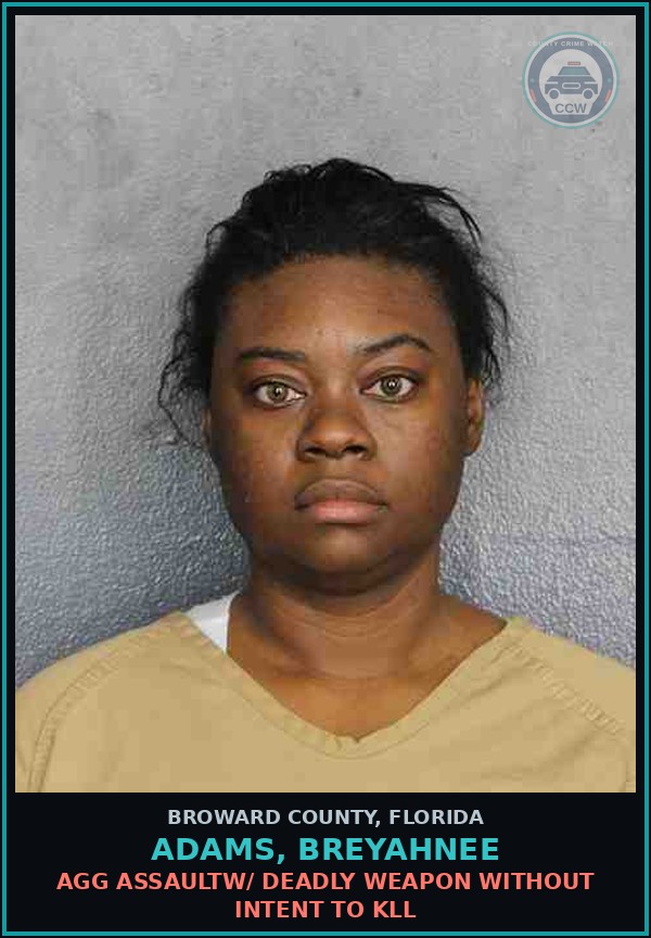 Booking mugshot of ADAMS, BREYAHNEE in Broward County