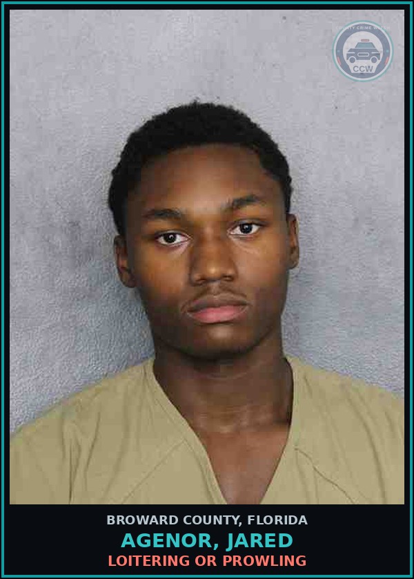 Booking mugshot of AGENOR, JARED in Broward County