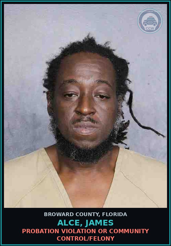 Booking mugshot of ALCE, JAMES in Broward County