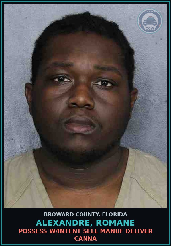 Booking mugshot of ALEXANDRE, ROMANE in Broward County