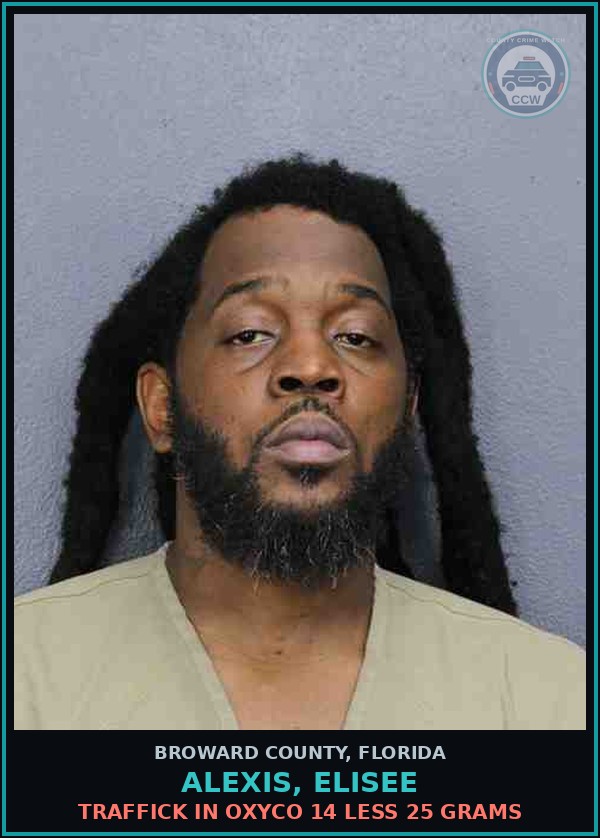 Booking mugshot of ALEXIS, ELISEE in Broward County