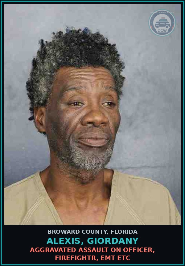 Booking mugshot of ALEXIS, GIORDANY in Broward County