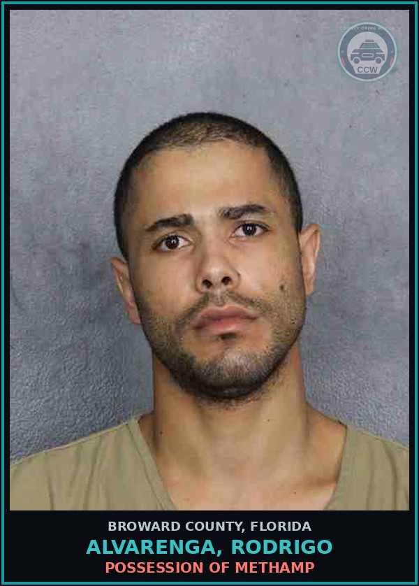 Booking mugshot of ALVARENGA, RODRIGO in Broward County