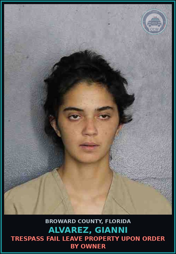 Booking mugshot of ALVAREZ, GIANNI in Broward County
