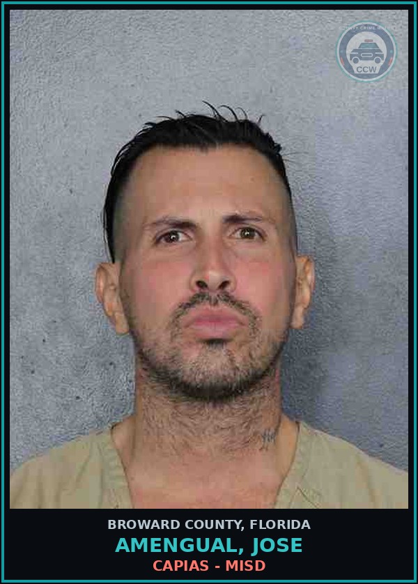 Booking mugshot of AMENGUAL, JOSE in Broward County
