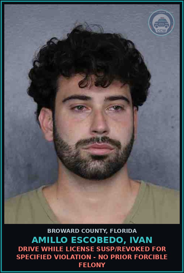 Booking mugshot of AMILLO ESCOBEDO, IVAN in Broward County