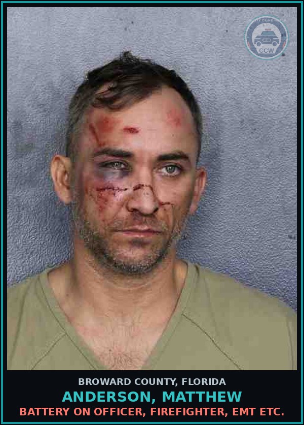 Booking mugshot of ANDERSON, MATTHEW in Broward County