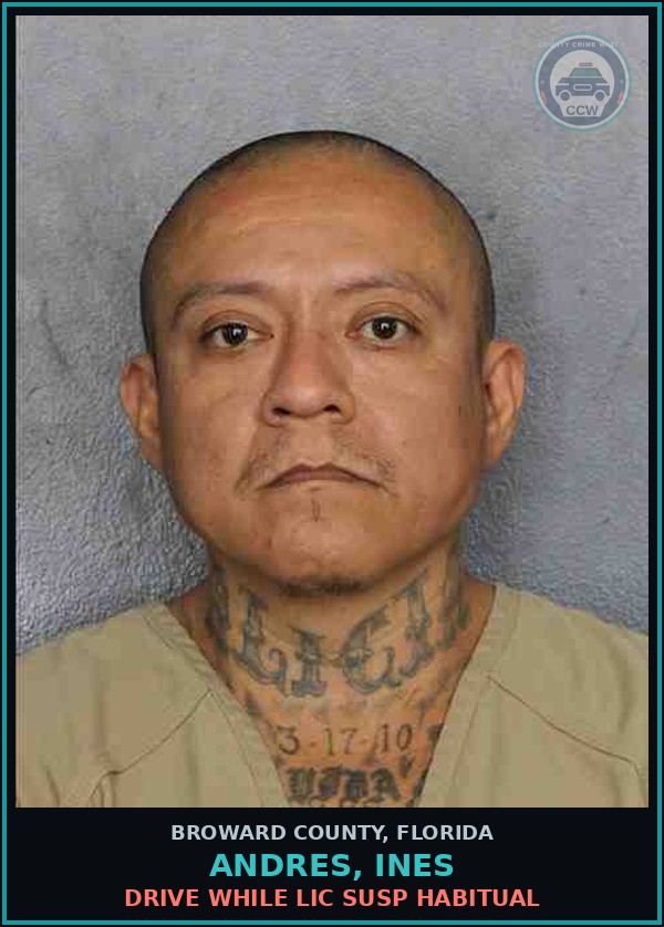 Booking mugshot of ANDRES, INES in Broward County