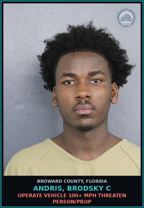 Booking mugshot of ANDRIS, BRODSKY C in Broward County
