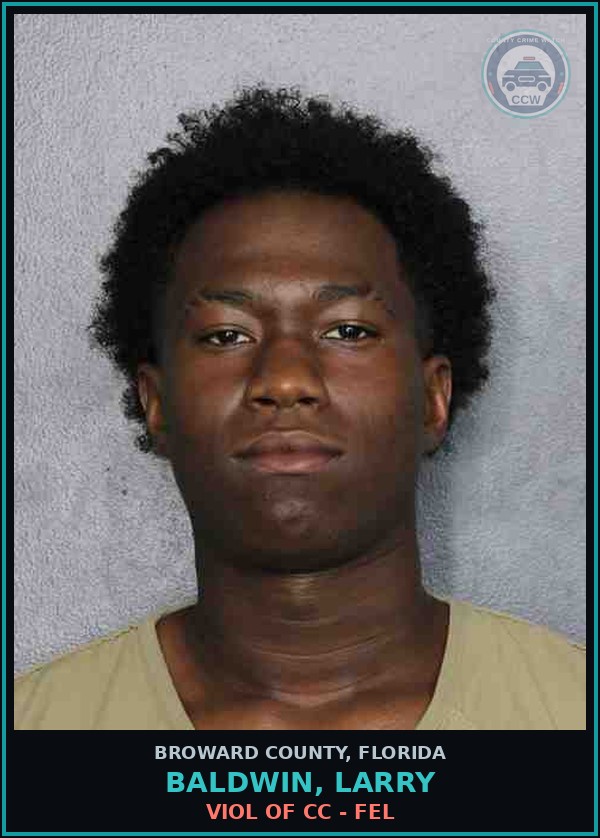 Booking mugshot of BALDWIN, LARRY in Broward County