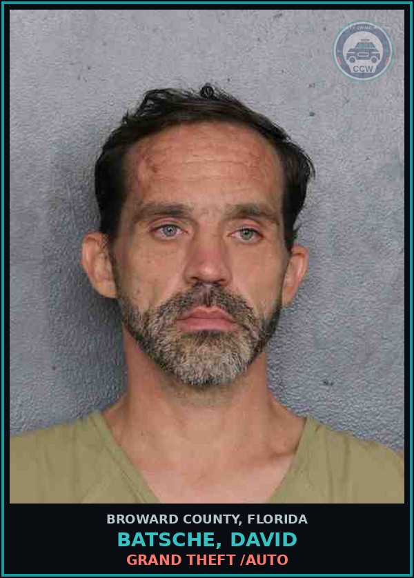Booking mugshot of BATSCHE, DAVID in Broward County