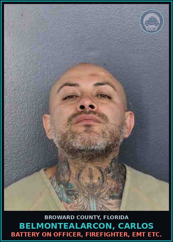 Booking mugshot of BELMONTEALARCON, CARLOS in Broward County