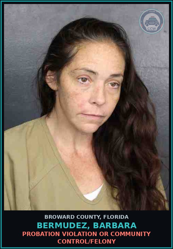 Booking mugshot of BERMUDEZ, BARBARA in Broward County