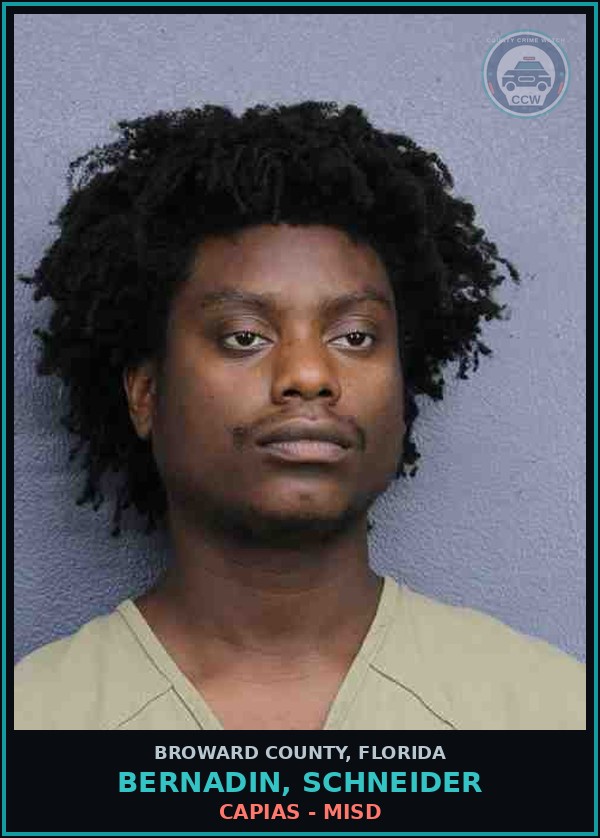 Booking mugshot of BERNADIN, SCHNEIDER in Broward County