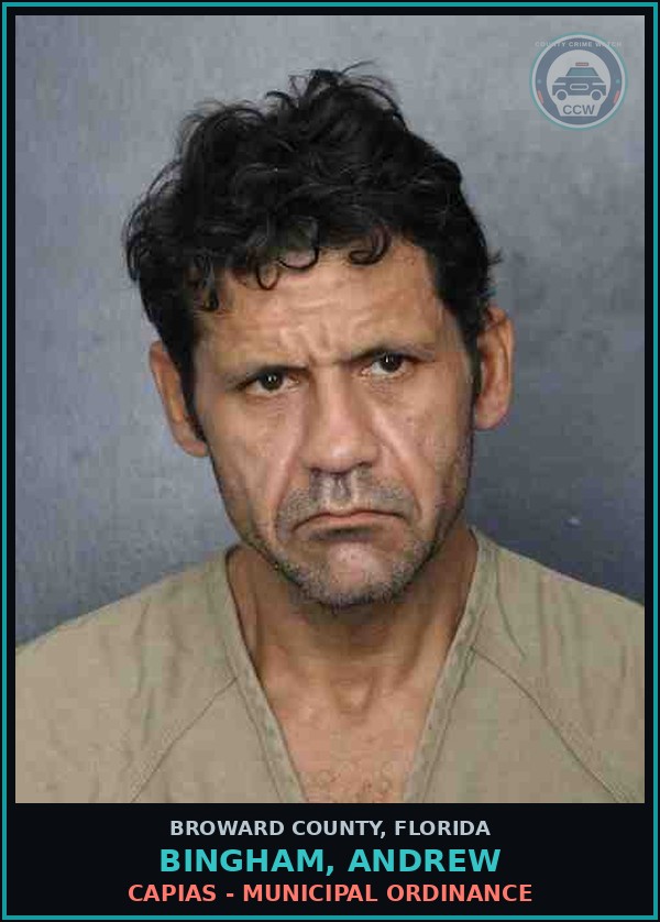 Booking mugshot of BINGHAM, ANDREW in Broward County