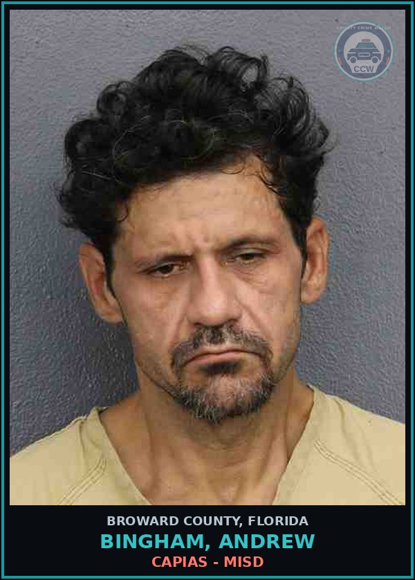 Booking mugshot of BINGHAM, ANDREW in Broward County