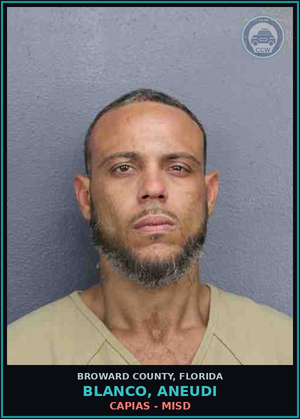 Booking mugshot of BLANCO, ANEUDI in Broward County