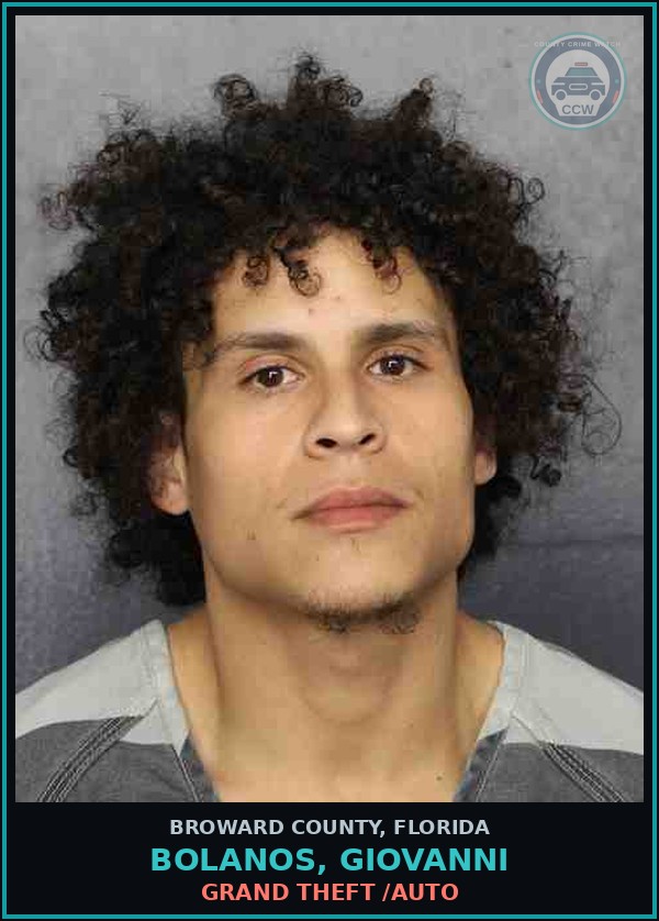 Booking mugshot of BOLANOS, GIOVANNI in Broward County