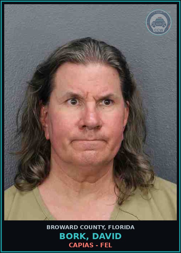 Booking mugshot of BORK, DAVID in Broward County