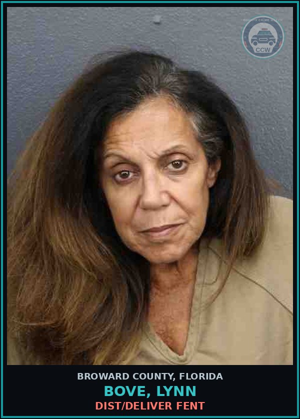 Booking mugshot of BOVE, LYNN in Broward County