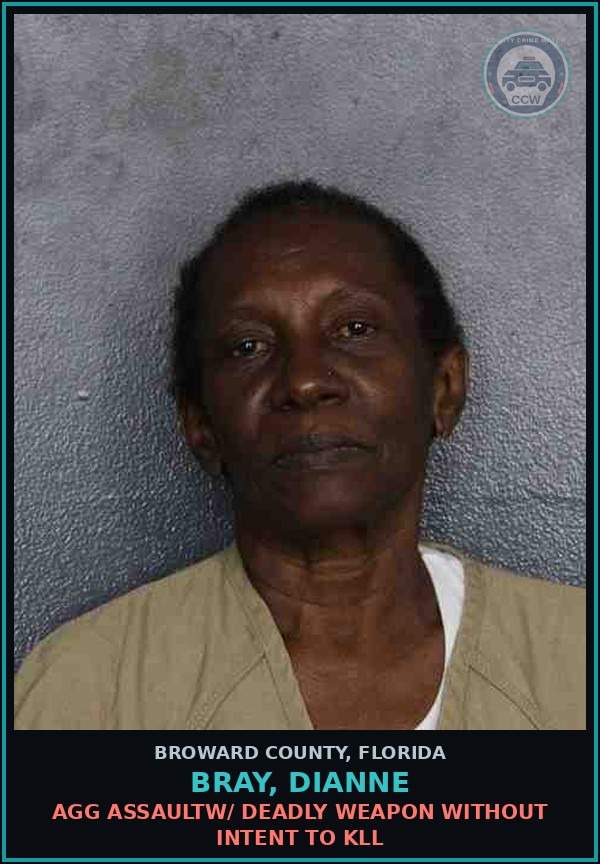 Booking mugshot of BRAY, DIANNE in Broward County