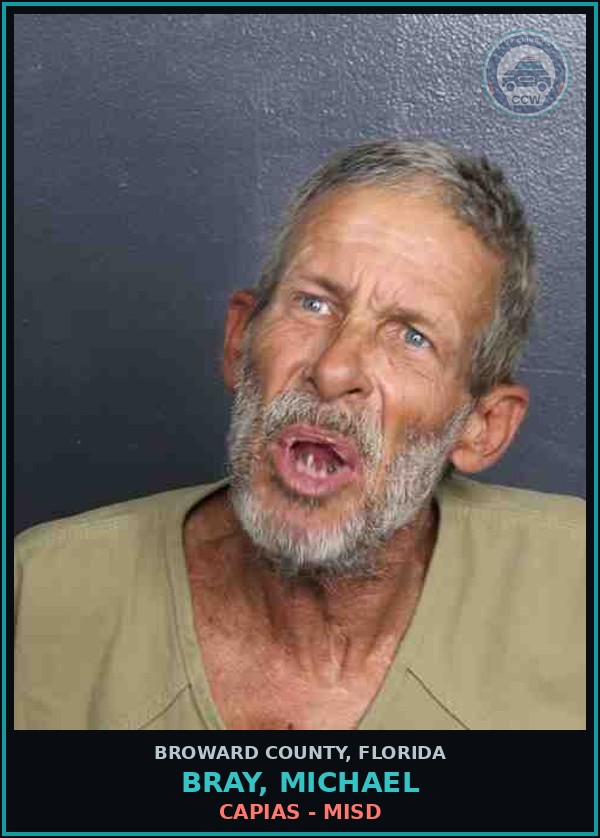 Booking mugshot of BRAY, MICHAEL in Broward County