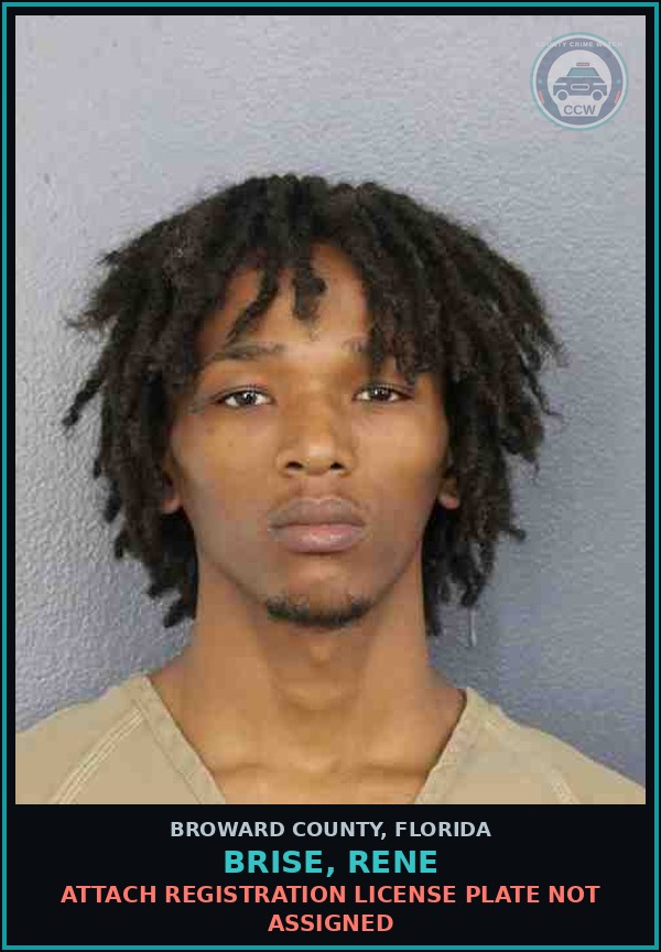 Booking mugshot of BRISE, RENE in Broward County