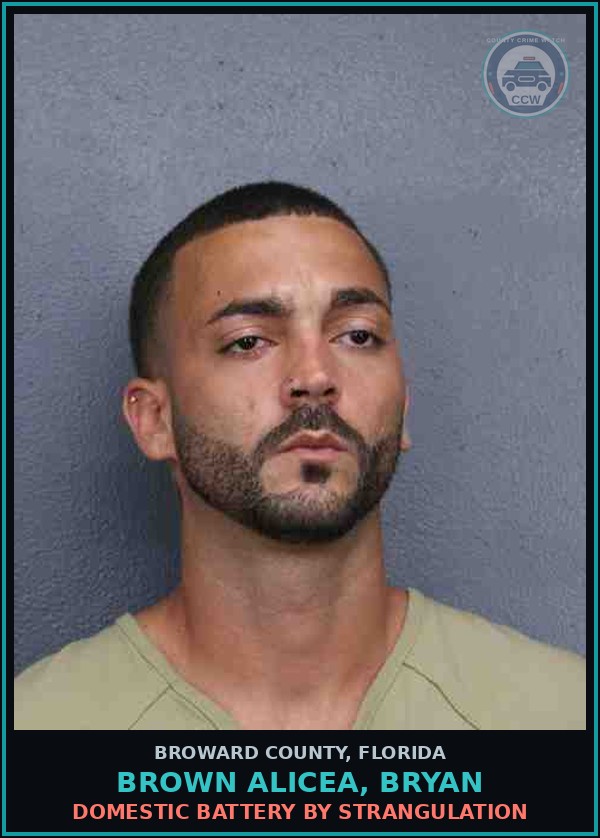 Booking mugshot of BROWN ALICEA, BRYAN in Broward County