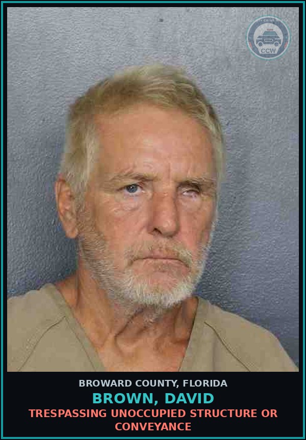 Booking mugshot of BROWN, DAVID in Broward County