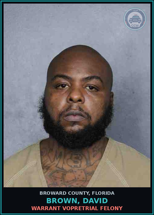 Booking mugshot of BROWN, DAVID in Broward County