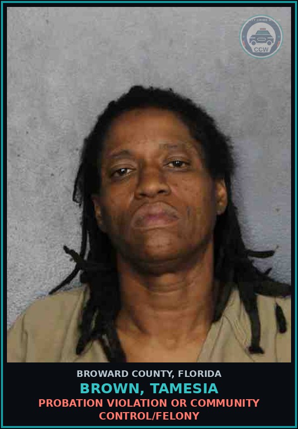 Booking mugshot of BROWN, TAMESIA in Broward County