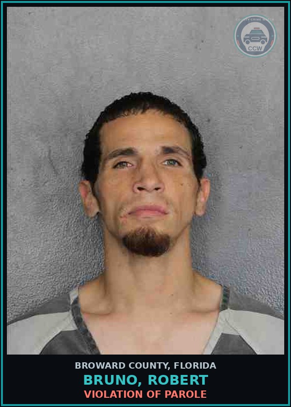 Booking mugshot of BRUNO, ROBERT in Broward County