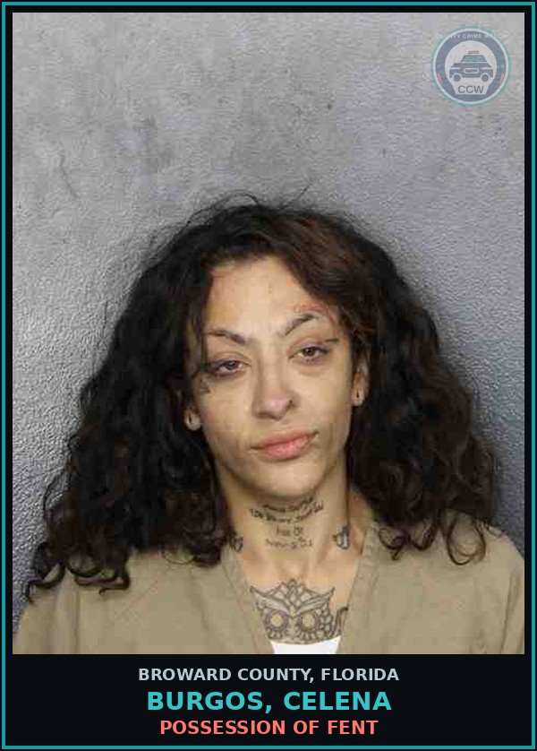 Booking mugshot of BURGOS, CELENA in Broward County