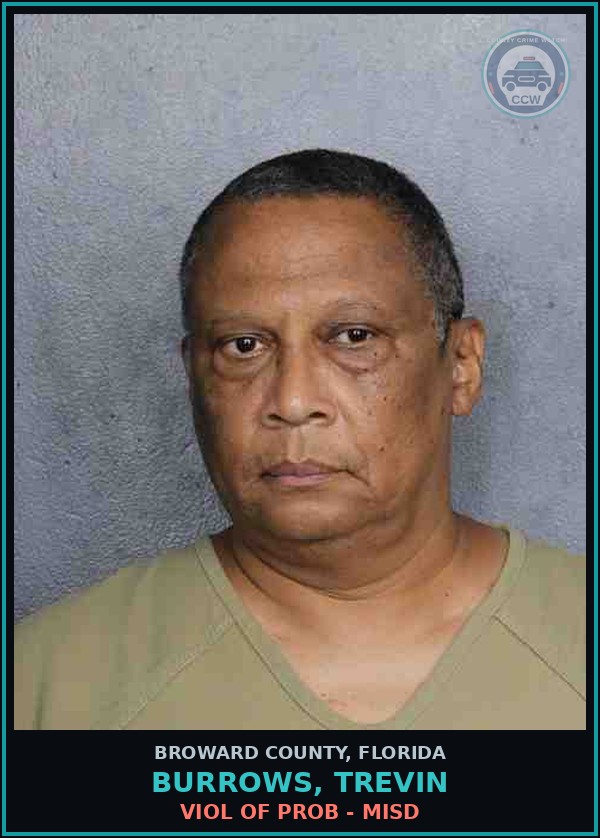 Booking mugshot of BURROWS, TREVIN in Broward County