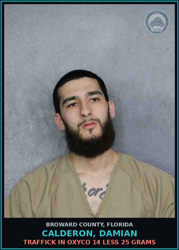 Booking mugshot of CALDERON, DAMIAN in Broward County
