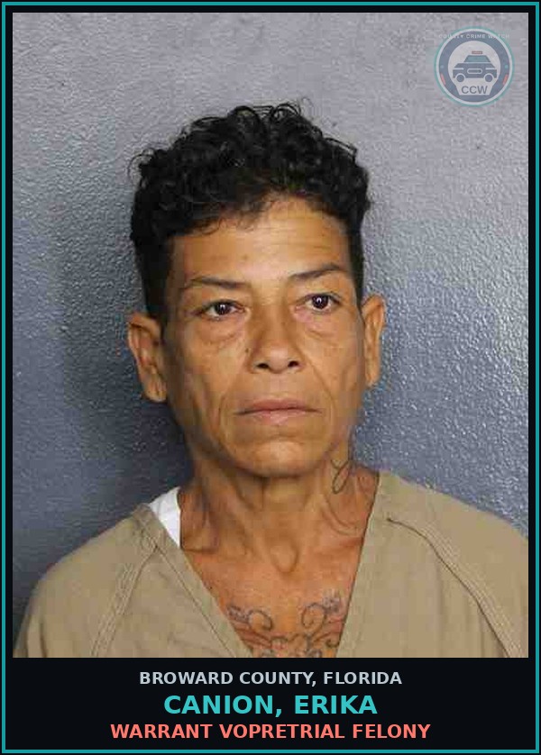 Booking mugshot of CANION, ERIKA in Broward County