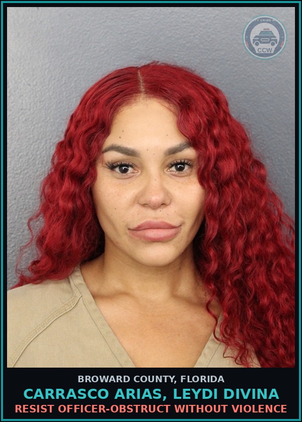 Booking mugshot of CARRASCO ARIAS, LEYDI DIVINA in Broward County