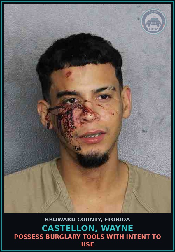 Booking mugshot of CASTELLON, WAYNE in Broward County
