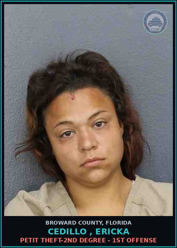 Booking mugshot of CEDILLO , ERICKA in Broward County