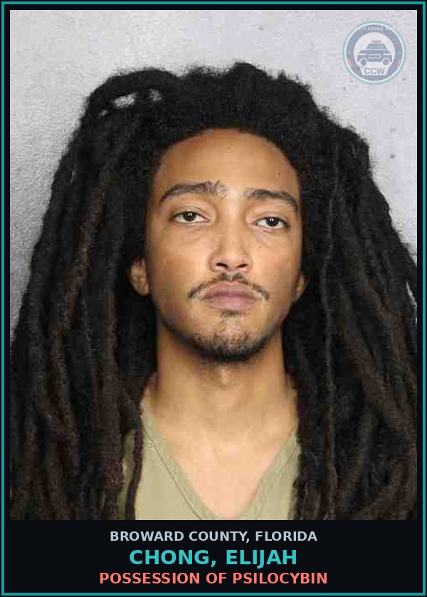 Booking mugshot of CHONG, ELIJAH in Broward County