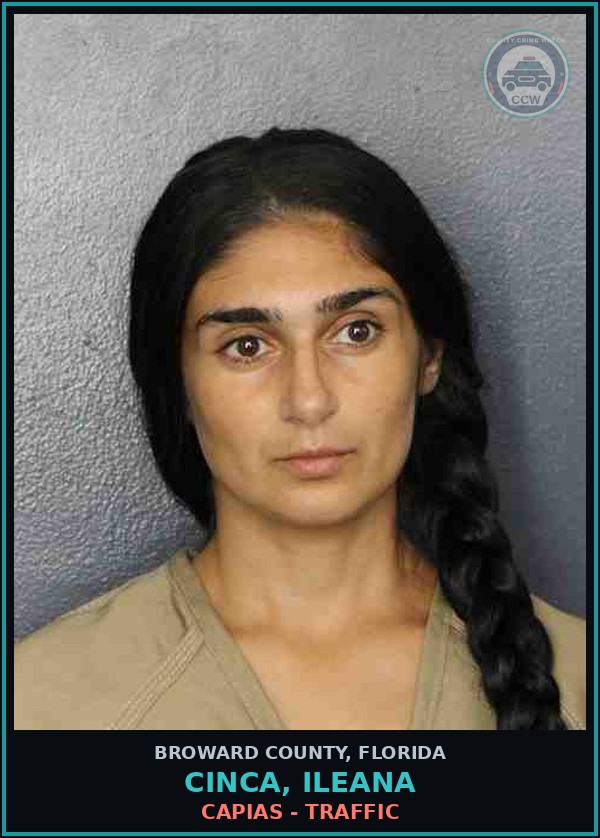 Booking mugshot of CINCA, ILEANA in Broward County