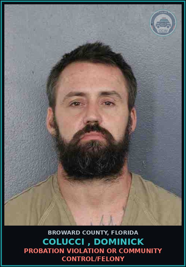 Booking mugshot of COLUCCI , DOMINICK in Broward County